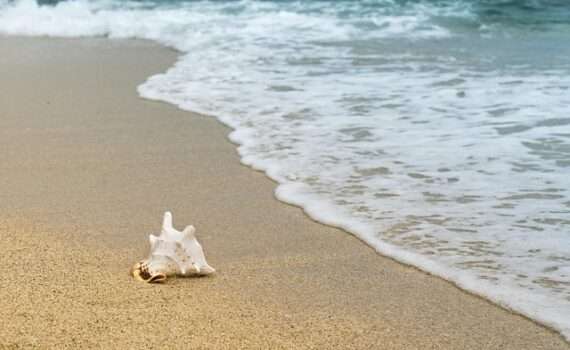 туризм одна из ключевых отраслей мировой экономики