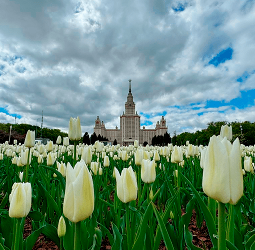 Цветочный туризм