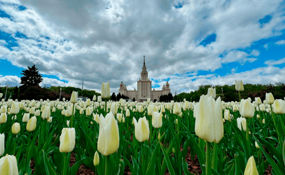 Цветочный туризм