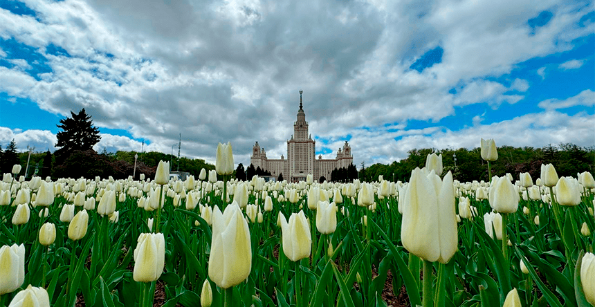 Цветочный туризм