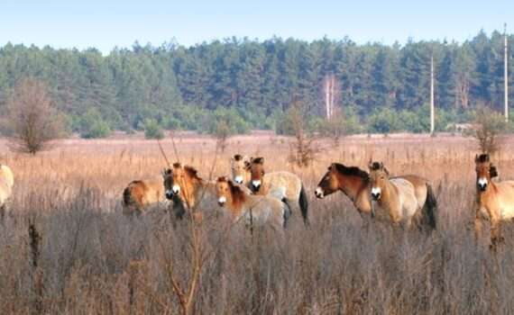 Семинар по Гомельской области