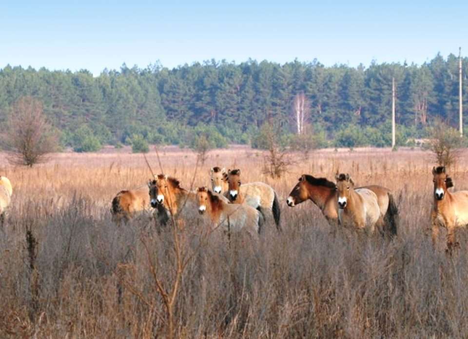Семинар по Гомельской области